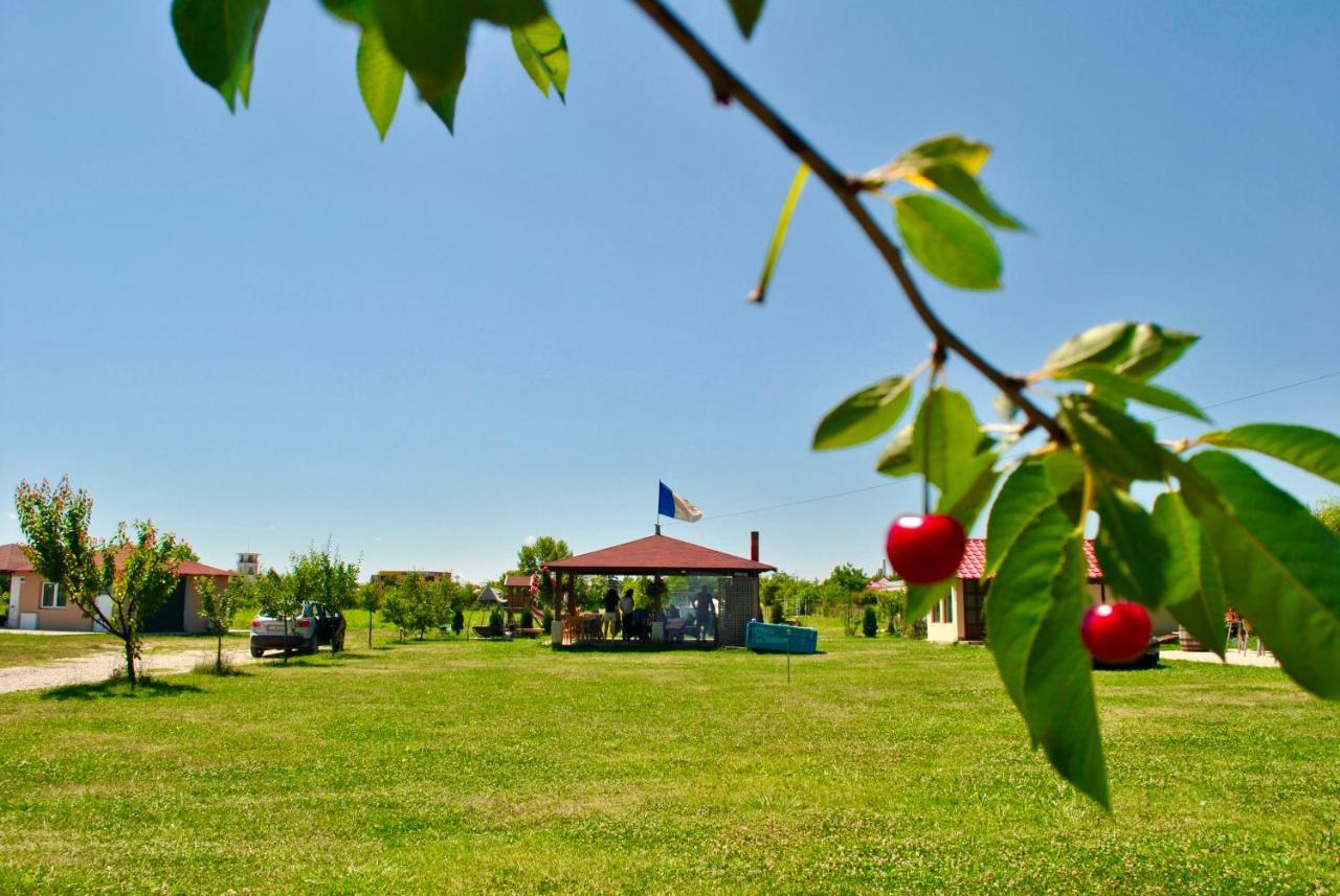 Camping La Foisor טורדה מראה חיצוני תמונה