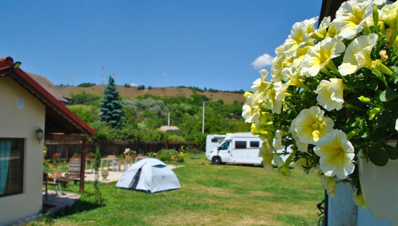 Camping La Foisor טורדה מראה חיצוני תמונה