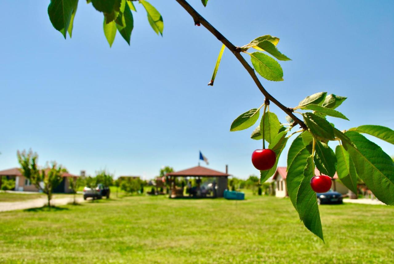 Camping La Foisor טורדה מראה חיצוני תמונה