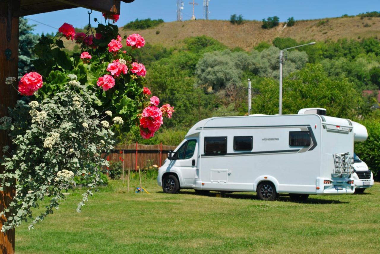 Camping La Foisor טורדה מראה חיצוני תמונה